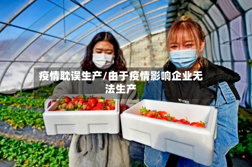 疫情耽误生产/由于疫情影响企业无法生产