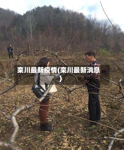 栾川最新疫情(栾川最新消息)
