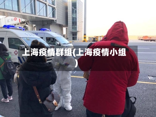 上海疫情群组(上海疫情小组)