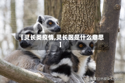【灵长类疫情,灵长区是什么意思】