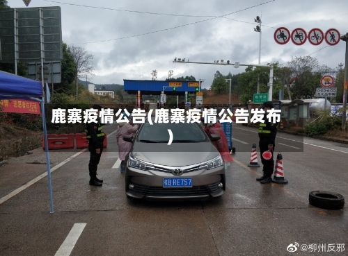鹿寨疫情公告(鹿寨疫情公告发布)