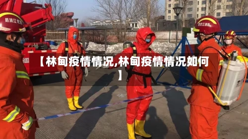 【林甸疫情情况,林甸疫情情况如何】