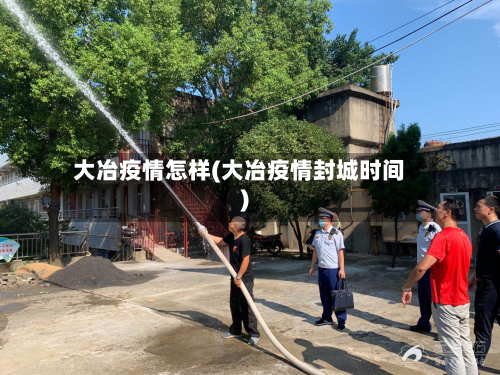 大冶疫情怎样(大冶疫情封城时间)
