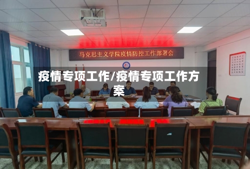 疫情专项工作/疫情专项工作方案