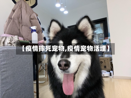 【疫情摔死宠物,疫情宠物活埋】