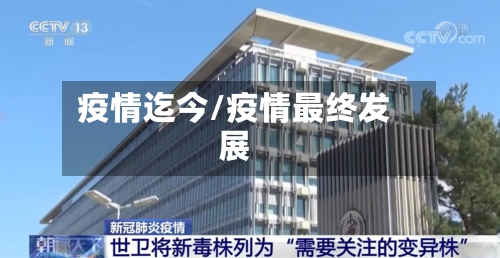 疫情迄今/疫情最终发展