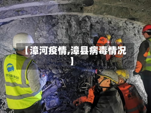 【漳河疫情,漳县病毒情况】