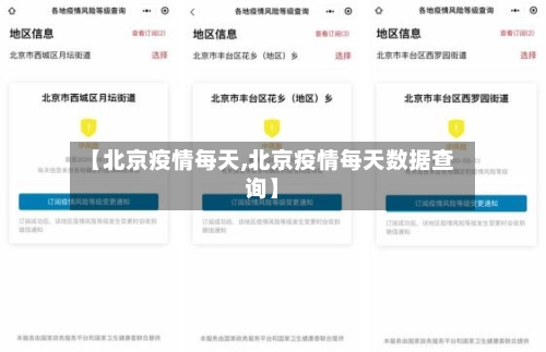 【北京疫情每天,北京疫情每天数据查询】