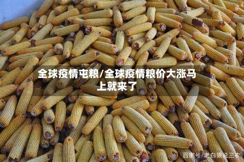 全球疫情屯粮/全球疫情粮价大涨马上就来了