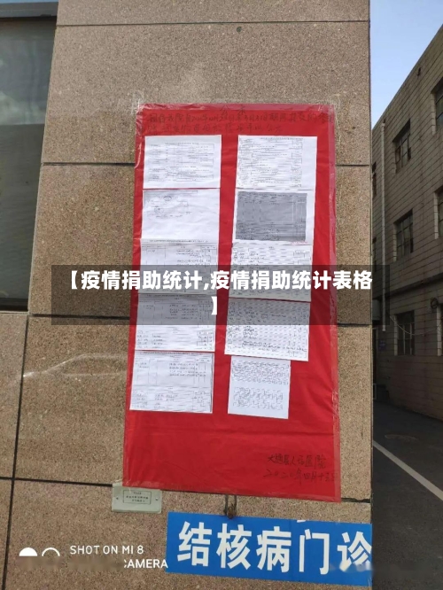 【疫情捐助统计,疫情捐助统计表格】
