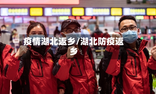 疫情湖北返乡/湖北防疫返乡