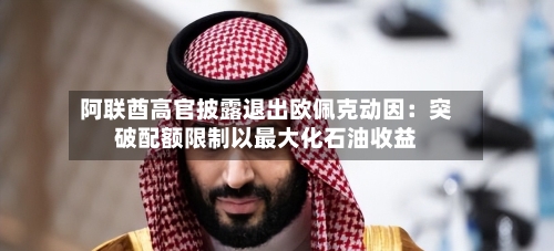 阿联酋高官披露退出欧佩克动因：突破配额限制以最大化石油收益