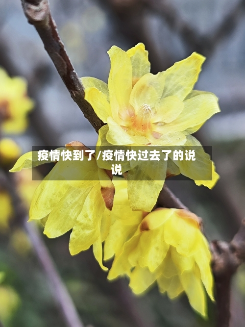 疫情快到了/疫情快过去了的说说