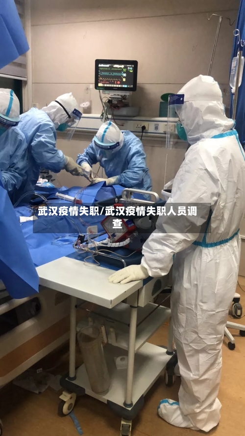 武汉疫情失职/武汉疫情失职人员调查