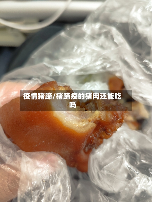 疫情猪蹄/猪蹄疫的猪肉还能吃吗