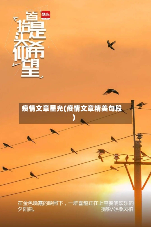 疫情文章星光(疫情文章精美句段)