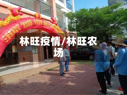 林旺疫情/林旺农场