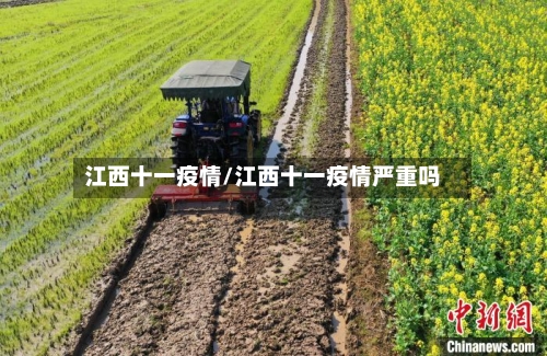 江西十一疫情/江西十一疫情严重吗