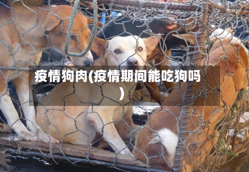 疫情狗肉(疫情期间能吃狗吗)