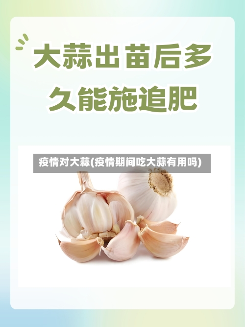 疫情对大蒜(疫情期间吃大蒜有用吗)