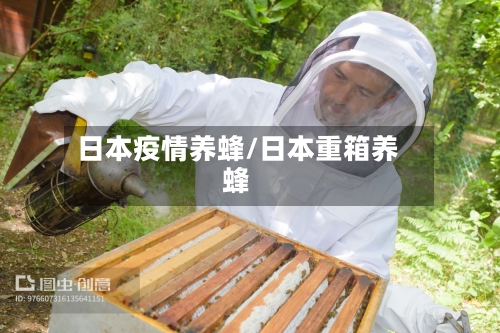 日本疫情养蜂/日本重箱养蜂