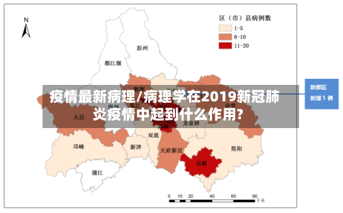 疫情最新病理/病理学在2019新冠肺炎疫情中起到什么作用?