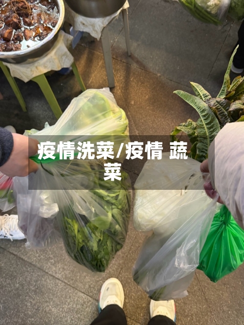 疫情洗菜/疫情 蔬菜