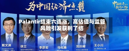Palantir结束六连涨，高估值与监管风险引发获利了结