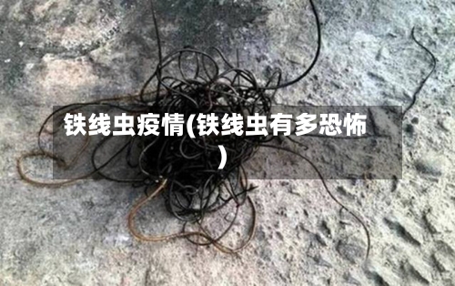铁线虫疫情(铁线虫有多恐怖)