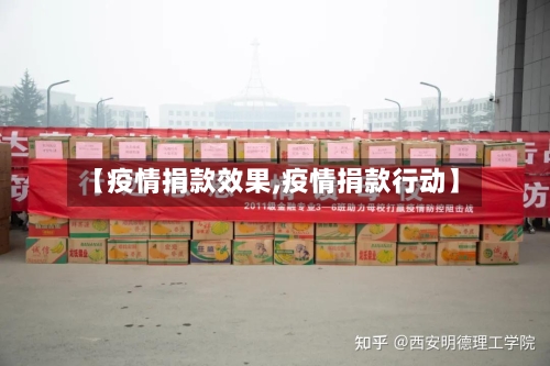 【疫情捐款效果,疫情捐款行动】
