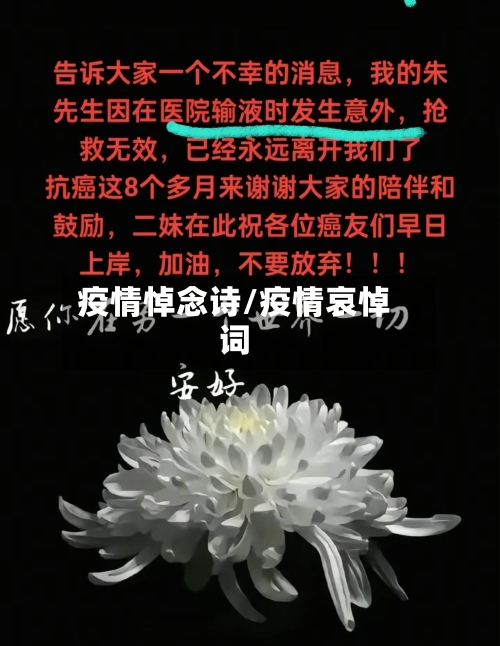 疫情悼念诗/疫情哀悼词