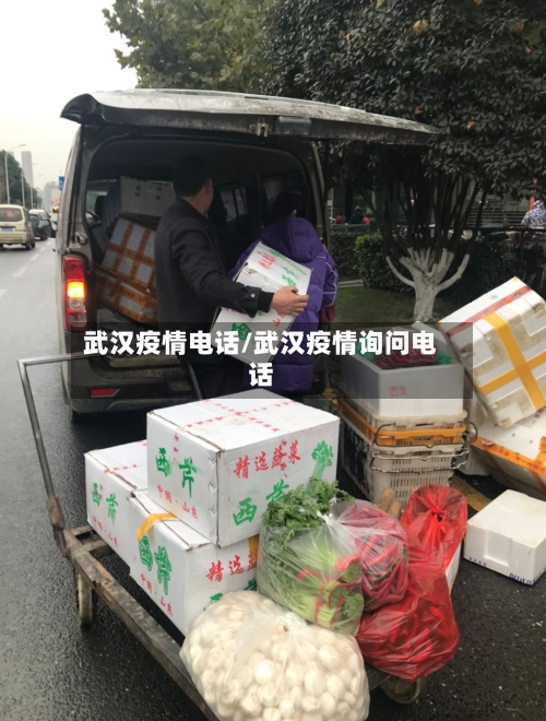 武汉疫情电话/武汉疫情询问电话