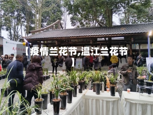 【疫情兰花节,温江兰花节】