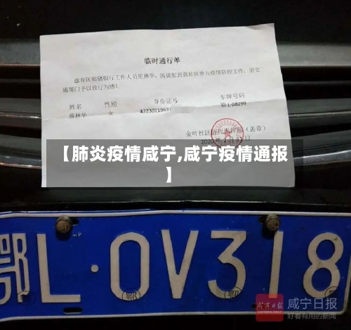 【肺炎疫情咸宁,咸宁疫情通报】