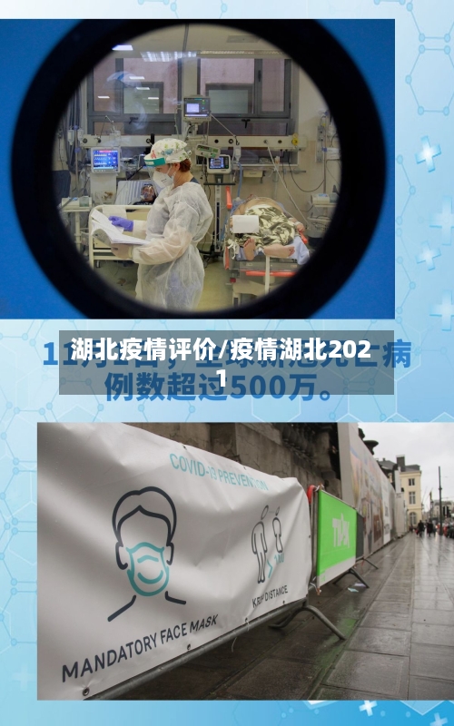湖北疫情评价/疫情湖北2021