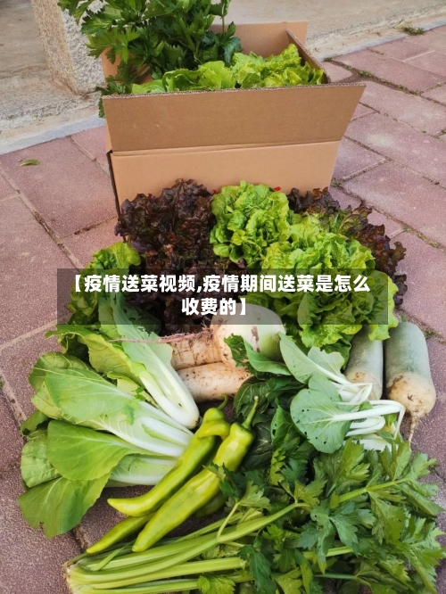 【疫情送菜视频,疫情期间送菜是怎么收费的】