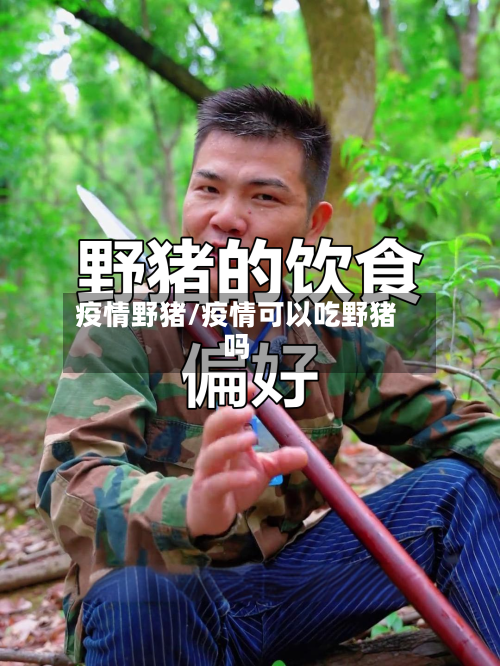 疫情野猪/疫情可以吃野猪吗