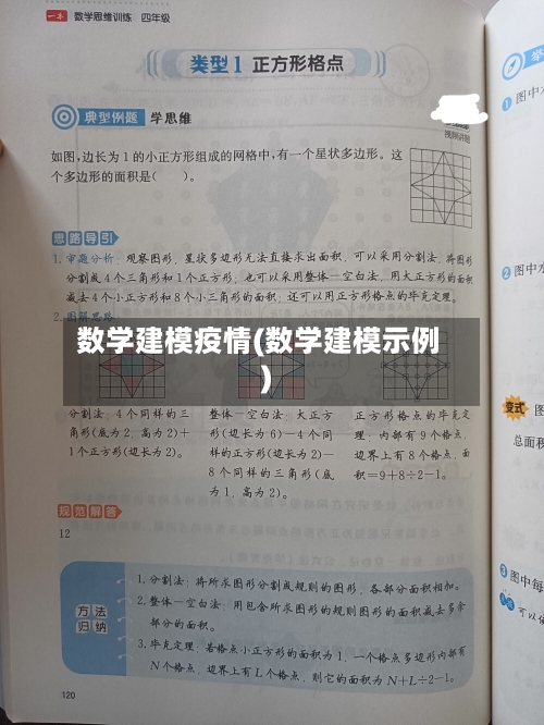 数学建模疫情(数学建模示例)