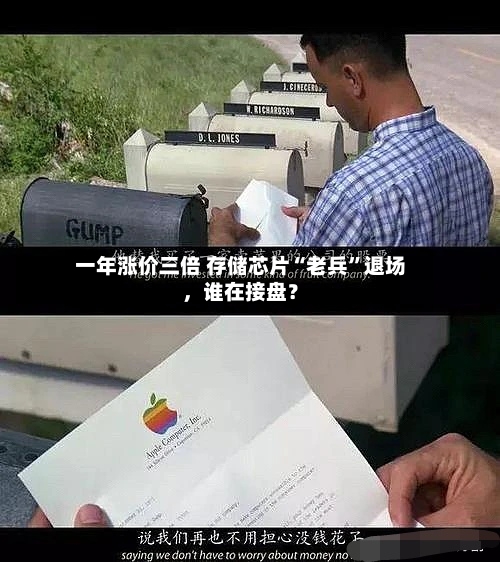一年涨价三倍 存储芯片“老兵”退场，谁在接盘？