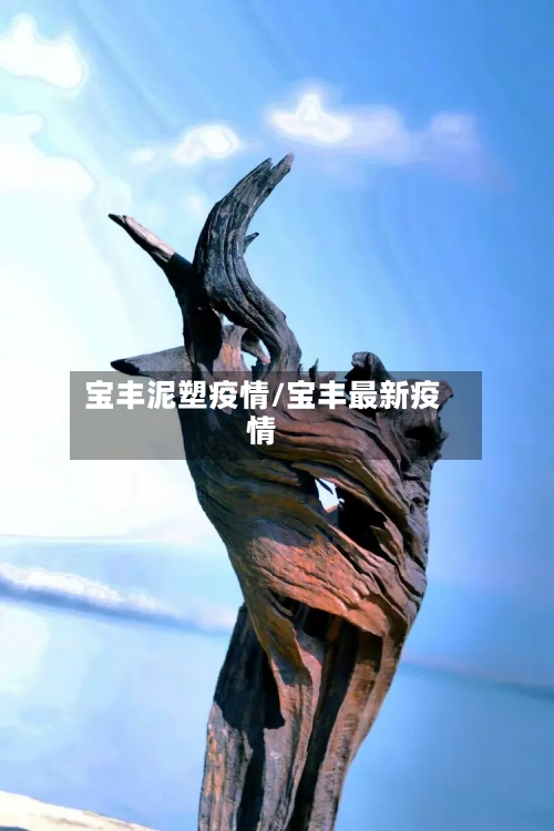 宝丰泥塑疫情/宝丰最新疫情
