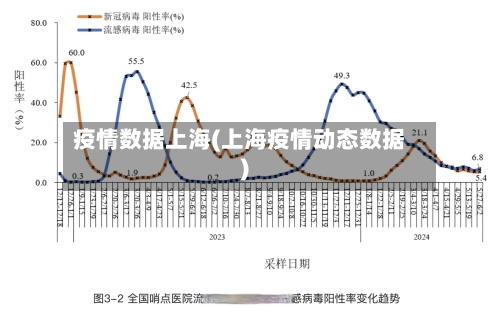 疫情数据上海(上海疫情动态数据)