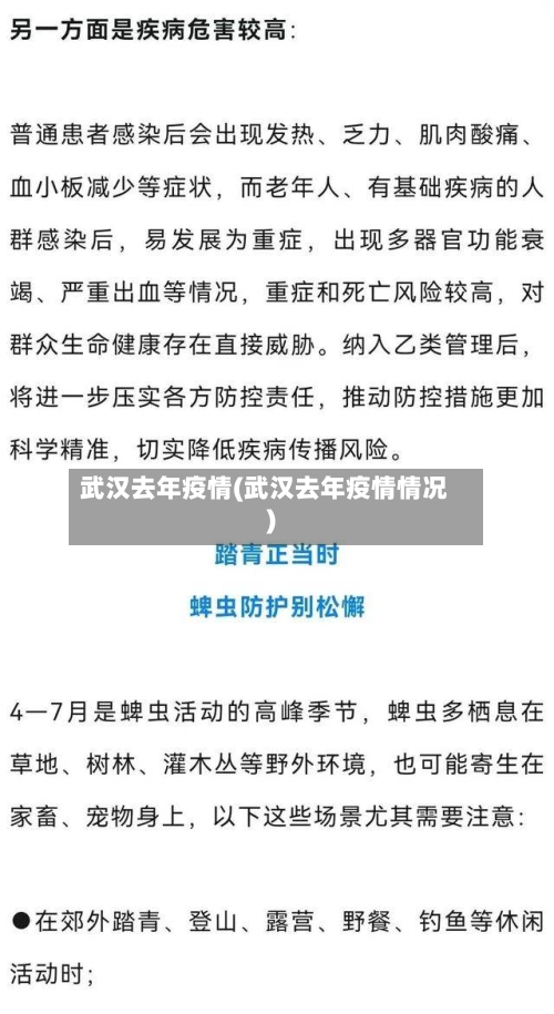 武汉去年疫情(武汉去年疫情情况)