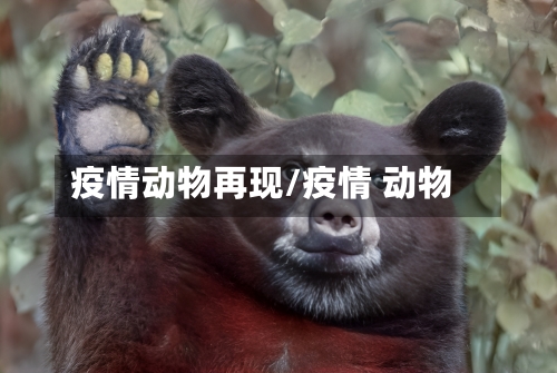 疫情动物再现/疫情 动物