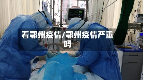 看鄂州疫情/鄂州疫情严重吗