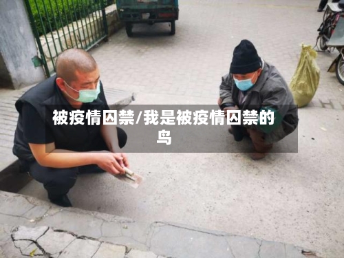 被疫情囚禁/我是被疫情囚禁的鸟