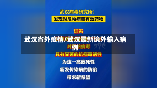 武汉省外疫情/武汉最新境外输入病例