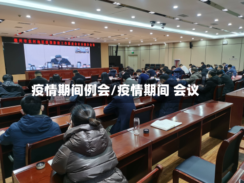 疫情期间例会/疫情期间 会议
