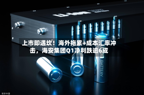 上市即遇坎！海外拖累+成本汇率冲击，海安集团Q1净利跌逾6成