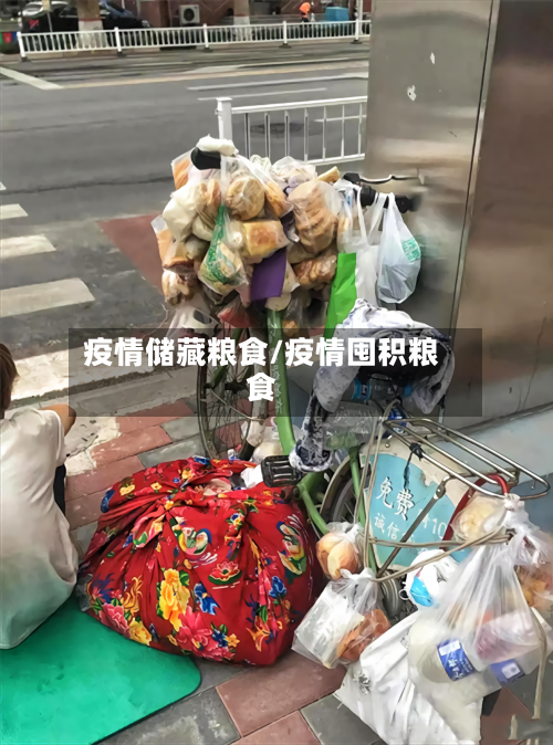 疫情储藏粮食/疫情囤积粮食