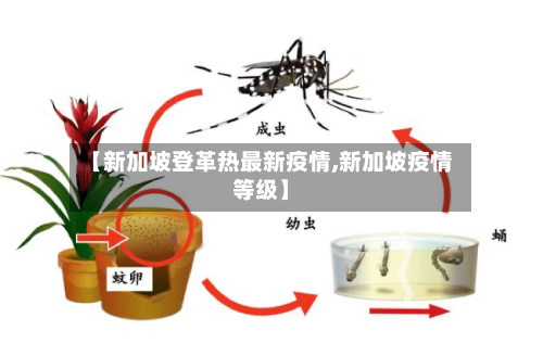 【新加坡登革热最新疫情,新加坡疫情等级】